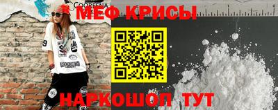 гашик Моздок