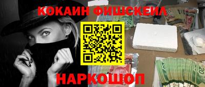 гашик Моздок