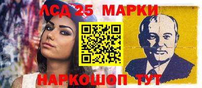 гашик Моздок