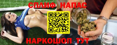 гашик Моздок