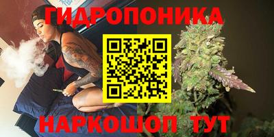 МДПВ Можга