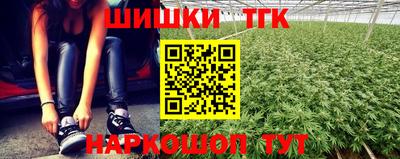 гашик Моздок