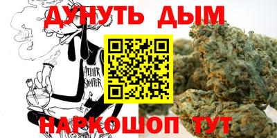 гашик Моздок