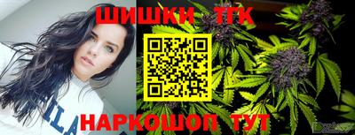 гашик Моздок